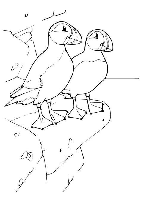 35+ puffin coloring pages for printing and coloring. Pin on puffin rock