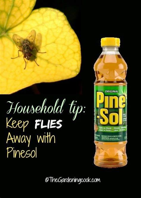 Pour into the spray bottle. Wipe everything down with Pine-Sol to keep flies away ...