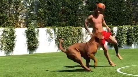 Leo messi ha mandado un mensaje público tras la consecución de la copa américa, acompañado la marca messi es un reflejo directo de las cualidades que demuestra leo messi dentro y fuera del. Hulk ist fast so gross wie Leo: Messi macht seinen Hund ...