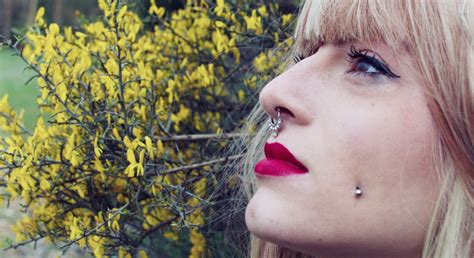 How to become a piercer. Getting a Septum Piercing? Here's Everything You Need to ...