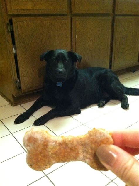 Healthier peanut butter treats your pup will love. Pin on A lot of recipes I would like to make