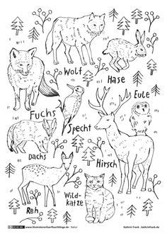 Waldtiere waldtiere ausmalbilder waldtiere malvorlagen. Wald Tiere Pflanzen | Tiere, Waldtiere, Ausmalbilder tiere