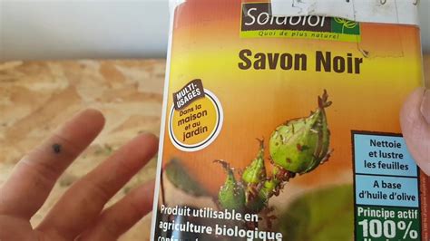 PUCERON - Lutte grâce au SAVON NOIR naturel (Agriculture biologique ...