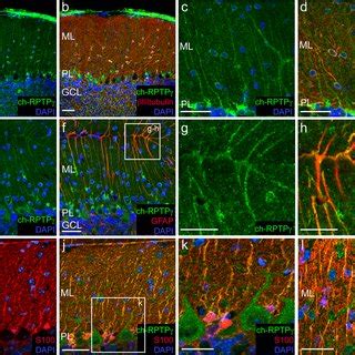 È ormai una costante, quella della nomina di bressa nella più importante commissione che ci sia a livello romano. Sheila HARROCH | Ph. D. | Institut Pasteur International ...