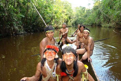 TOUR SELVA WAORANI 5 DIAS. - Native Jungle Tours