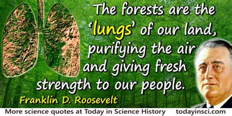 You cut down trees to build homes, for fuel, and you end up with no trees left, and you have to move on. Deforestation Quotes - 48 quotes on Deforestation Science ...