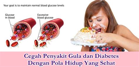 Kadar gula darah normal adalah antara 60mg/dl hingga 145mg/dl. Pengobatan Terbaik Untuk Penyakit Gula Diabetes Herbal ...