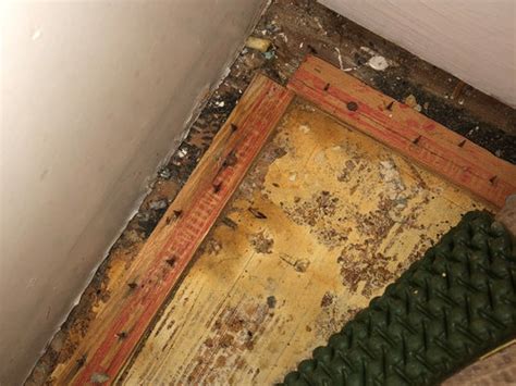 Due to the serious risks involved, asbestos removal is a long, difficult and hazardous process. Asbestos ceiling tile?