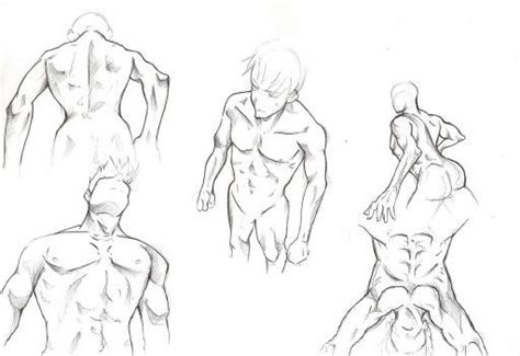 I have been working on understanding the human figure from mind for quite some time which have resulted in this timelapse where i sculpt the male figure for about 4 hours using. MALE ANATOMY (With images) | Art, Sketches, Drawings