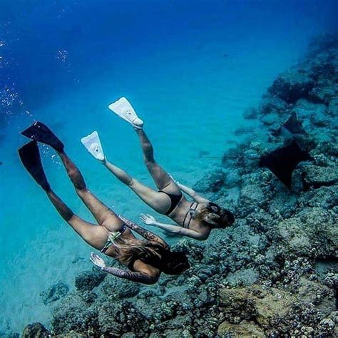 Certifications vary from one to another but overall. Mermaids are real #scubadivingadventures | Scuba diving ...