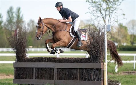 Second unit director or assistant director. Oliver Townend in bidding duel for €49,000 top lot at ...