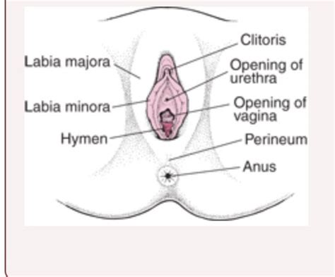 Pubic hair distribution study categorizes four types of pubic hair patterns and. What should I do if I accidentally cut my vagina while ...