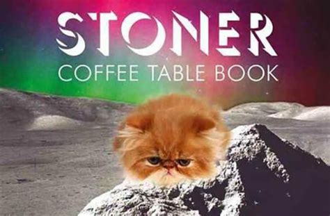 Our coffee table photo album is perfect for display in your living room so that it can be shared with loved ones anytime. 10 Hilarious And Weird Coffee Table Books You Should Own