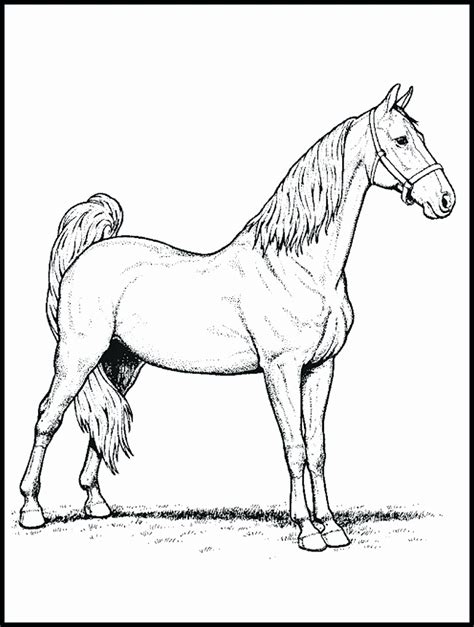 Download Easyfire Horse Designs for Kids Coloring Pages in 2020 ...