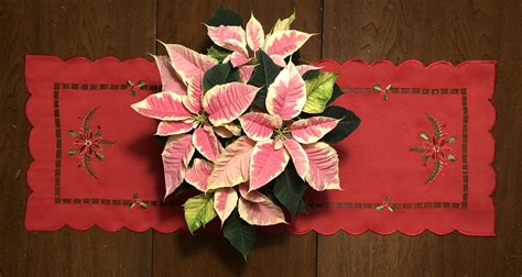 This business listing is provided by Wilson Flowers & Market - Wilson, NC - Christmas