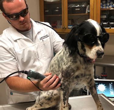 Compare vca animal hospital and banfield pet hospital pros and cons using consumer ratings with latest reviews. Davis Veterinary Hospital | Hattiesburg, Mississippi 39401