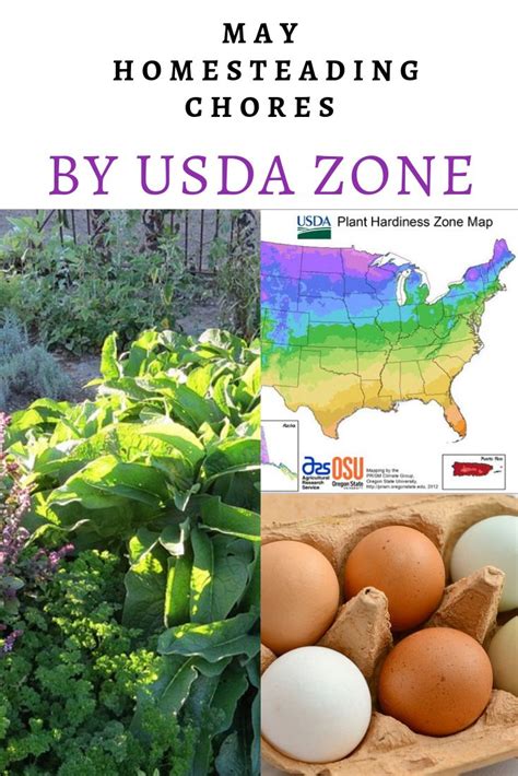 Click on the following articl. May Homesteading Chores by USDA Zone - The New Homesteader ...