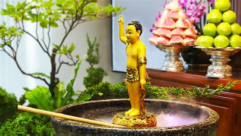 (buddhism) to bathe a buddha statue (as a ceremony). 正覺同修會浴佛法會