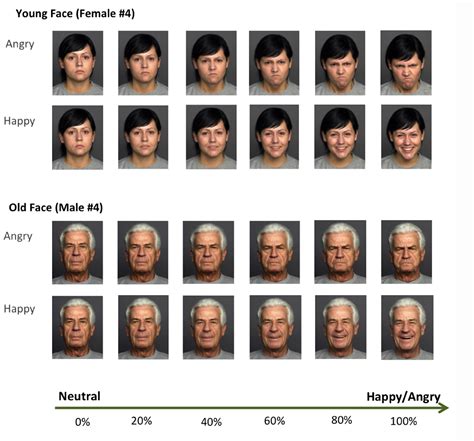 Its impact on me (emotional, psycological, philosophical). Frontiers | Emotional expressions of old faces are ...