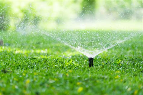 Do it yourself sprinkler repair. Best Sprinkler Repair Near Me | #1 Orlando Sprinkler Repair