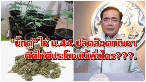 สมัคร ประกัน สังคม มาตรา 40 ผ่าน เว็บ. บ้านเมือง - "บิ๊กตู่" ใช้ ม.44 ปลดล็อคกัญชาคิดให้ดี ...