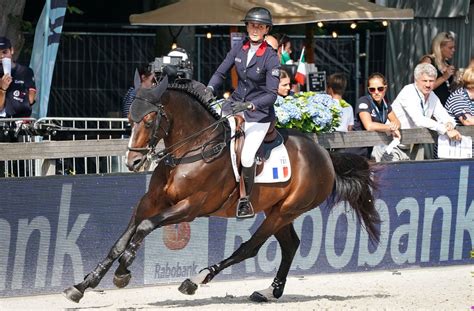 En direct, photos et vidéos. Saut d'obstacles : les cavaliers français défendront leur titre olympique à Tokyo - Le Parisien