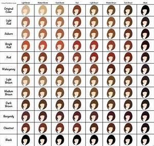 15 Helpful Hair Charts For All Of Us Who Obviously Need It Hair Chart