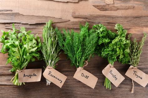 How to store fresh herbs from garden. Here's how to grow the most popular herbs that will save ...