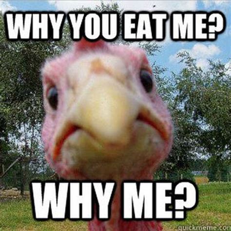 See what people are saying and join the conversation. 11 Turkey Memes That Will Get You Ready to Blast Those Birds