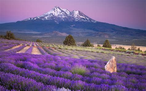 Beautiful Scenery Wallpapers Screensavers (49+ images)
