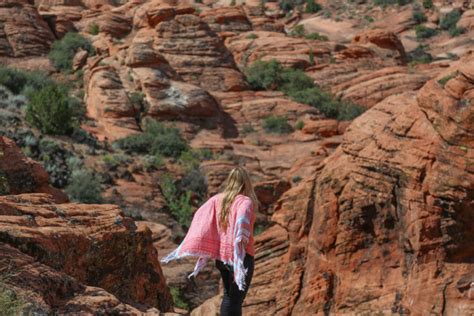 Now i saw they made a camel from snow. Like Zion National Park? You'll LOVE Snow Canyon in Utah ...