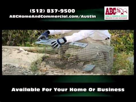 Abc pest control limited, registered in england and wales, company no. Pest Control Austin TX - ABC Home and Commercial Services ...