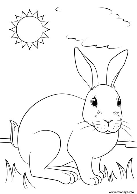 Collection de dessins de lapins à colorier pour pâques. Coloriage un lapin realiste profite du soleil - JeColorie.com