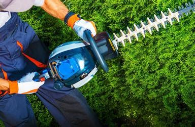 The common brush killers, triclopyr and glyphosate, are highly effective at killing shrubbery and can also be used to clear wild shrubs if you wish to clear the land for cultivation. Professional Shrub and Bush Trimming Services Framingham ...