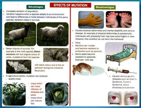 Download rpt sains tambahan tingkatan 4 yang dapat di muat turun dengan segera ini ialah hasil kerja keras para guru dari seluruh malaysia link download fail : Mutasi | SAINS TINGKATAN 4