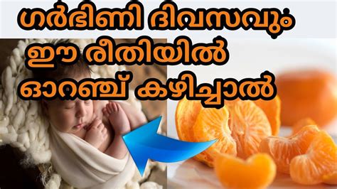 As long as you cook shellfish thoroughly, it's safe to eat during pregnancy. Is It Safe To EAT ORANGE During Pregnancy? - YouTube