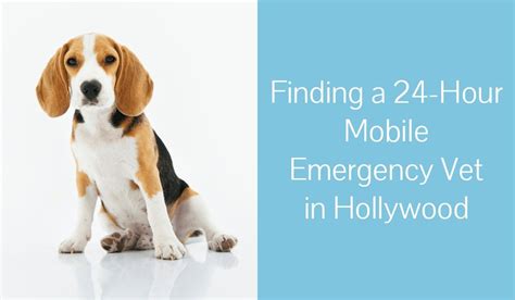 A veterinarian, veterinary technicians, and support staff are available 24 hours a. Finding a 24-Hour Mobile Emergency Vet in Hollywood - Blog