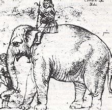 Cara menggambar orang dengan mudah dari wajah hingga seluruh badan. Sejarah gajah di Eropa - Wikipedia bahasa Indonesia ...