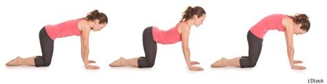 Safe prenatal yoga poses to help prepare for giving birth. Prana Mama: Asanas: Marjaryasana/ Bitilasana (Cat Cow Pose)