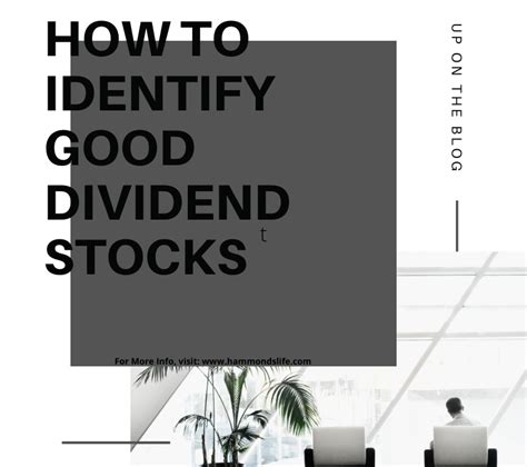 Check spelling or type a new query. How To Identify Good Dividend Stocks - Hammonds Life