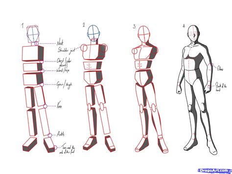 This how to draw pose tutorial shows real time body. Pin by Erin Ali on My kind of art | Anime drawings, Anime ...