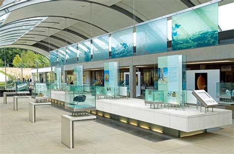 It currently stores samples of the country's entire native plant population, including several hundred endangered species [source: Kew Botanical Gardens - Millenium Seedbank — Seeing ...
