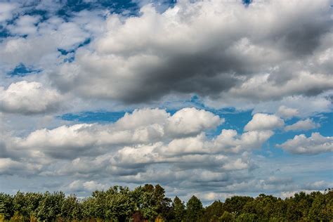 Cloudy Pinelands Landscape Days - Louis Dallara Photography