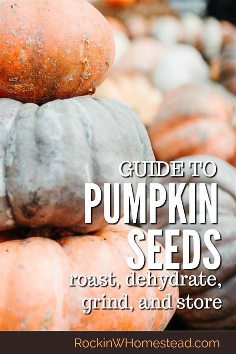 Make this snack by roasting fresh pumpkin seeds in margarine, worcestershire sauce, and garlic salt. Healthy Snacks: Saving Pumpkin Seeds to Eat | Rockin W ...