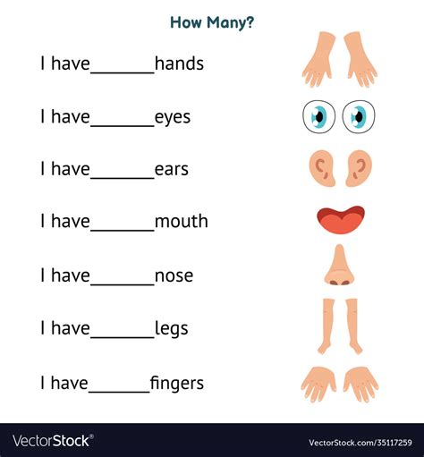 These parts of the body worksheets will help to practice vocabulary, grammar and sentences. How many worksheet with body parts for kids write Vector Image