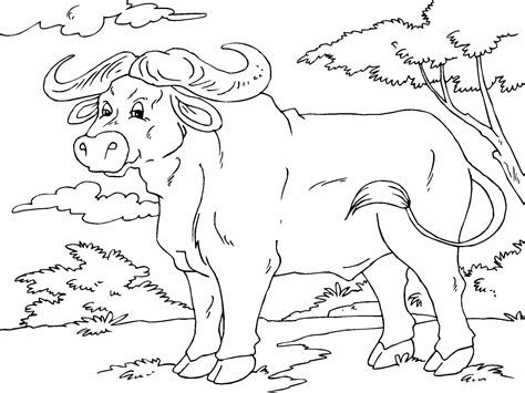 Polish your personal project or design with these water buffalo transparent png images, make it even more personalized and more attractive. Coloriage buffle - Coloriages Gratuits à Imprimer - Dessin ...