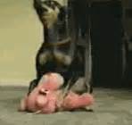 I mean, where are all the other dead people in the. Two and a half Men=Win (PICS) - Page 3 - Bodybuilding.com ...