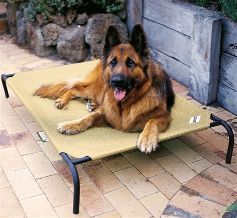 We did not find results for: Raised Dog Bed Flea Resistant For Large Dogs Portable ...