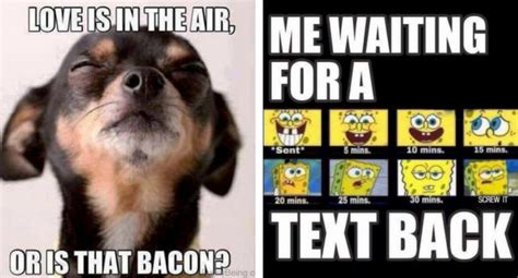 If you're wondering where to start, i've written a few quick tips that will help you know how to start using these funny lines. 59 Funny Memes About Love That Will Make Her Laugh And Cry ...