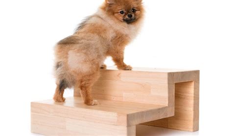 Кровать с мягким изголовьем своими руками мебель diy. DIY Dog Stairs: How to Build Your Own Doggy Steps | Pet ...